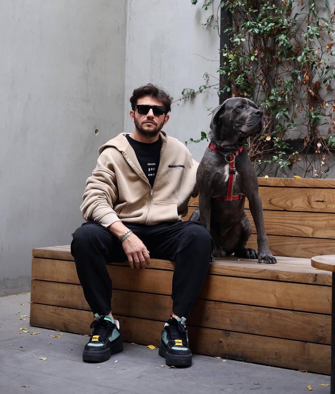 Unisex Hoodie in 3 colors,Plain Unisex Hoodie, Gildan Blank Unisex Hoodie, Blank Hoodie